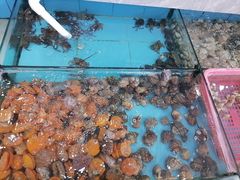 -考记泥焗鸡农庄·海鲜(北洛秘境店)