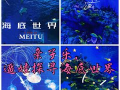 -海合安成都极地海洋公园