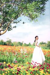 点击看大图 -巴黎春天婚纱摄影STUDIO·定制