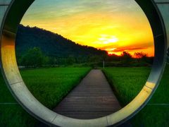 -艾米稻香小镇