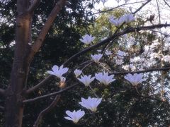 -西北农林科技大学(北校区)