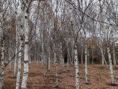 -长春世界雕塑园冰雪艺术天地