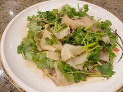 芥末香菜拌螺片-旺达·福州菜(正大广场店)