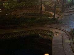 -三亚海棠湾南田温泉神龙谷