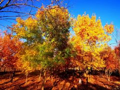-玉渡山自然风景区