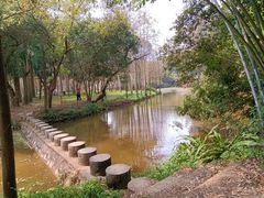 -南宁良凤江国家森林公园