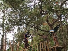 -芦仙山景区-飞越丛林探险乐园