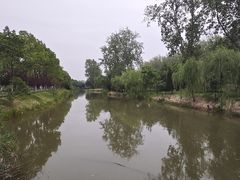 -合肥滨湖国家森林公园