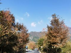 -塔川景区