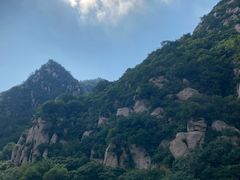 -大岭沟猕猴桃谷风景区