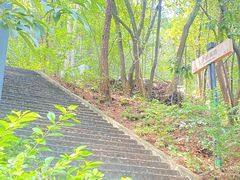 -神光山国家森林公园