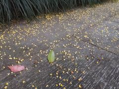 -杭州少年儿童公园
