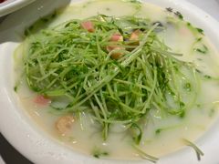 -首秀·四川料理(吾悦广场店)