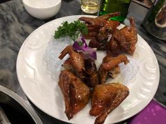 -鸽鸟轩(石岐店)