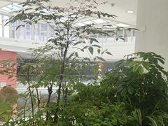 -大树餐厅(红旗街万达店)