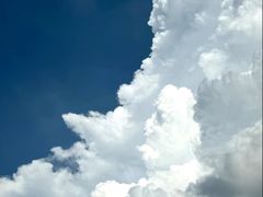 -张一元茶庄(望京店)