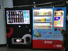 -东方体育中心(地铁站)