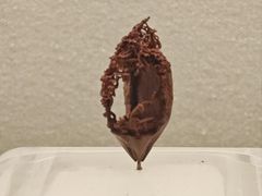 -杭州工艺美术博物馆