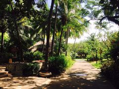 -三亚珠江南田温泉度假区