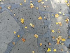 -长春公园(普阳街道)