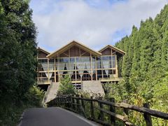 -武陵山森林公园