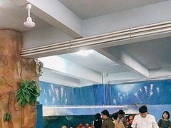 -泉州海丝野生动物世界