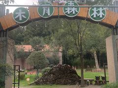 -日照海滨国家森林公园