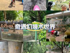 -深圳野生动物园