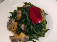 -海派美食·家宴海鲜青岛菜·石锅鲽鱼头(东方城店)
