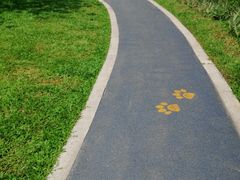 -景田北六街公园宠物主题园