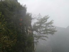-重庆云阳龙缸景区