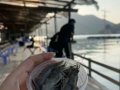 -盐洲岛
