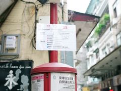 -洪馨椰子