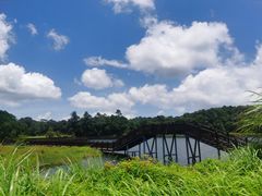 -海南热带雨林国家公园吊罗山景区