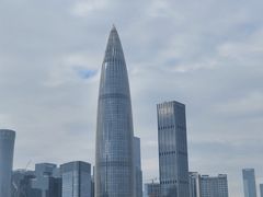 -深圳湾万象城(南山店)