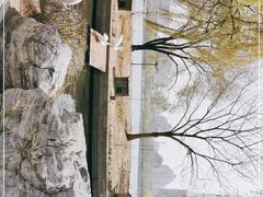 -莲花池公园