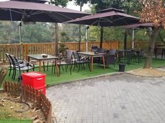 -张鸟园农家乐(张鸟园店)