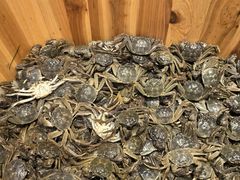 -初色海鲜自助(万丰路店)