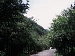 -少华山国家森林公园
