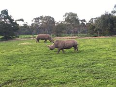 -威勒比开放式动物园