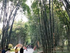 -望江楼公园
