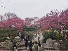 -重庆彩云湖湿地公园