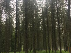 -硗碛藏寨·神木垒景区