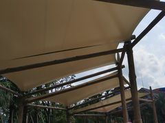 -美的鹭湖探索王国