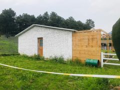 -大塘金香草谷