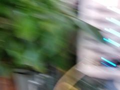 -佛有缘素食馆·荔湾老字号(陈家祠首店)