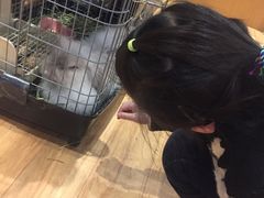 -藦茜花园宠物主题亲子互动体验馆(国顺东路店)