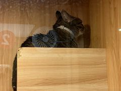 -博特宠物医院24h犬猫全科.骨科·异宠
