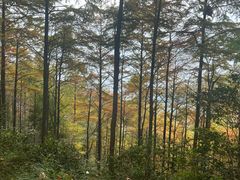 -莫干山风景区