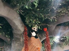 -金三可市井水煮鱼(金碧园店)